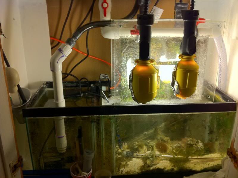 Algae Scrubber Basics Algae Scrubbing